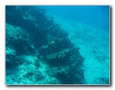 Rainbow-Reef-Scuba-Diving-Taveuni-Fiji-102