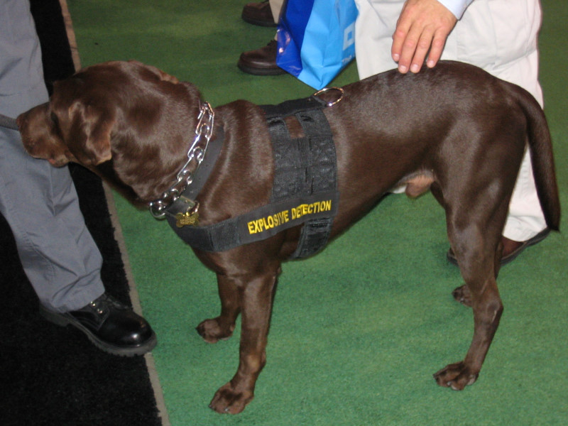 SEMA-2007-Auto-Show-Las-Vegas-393