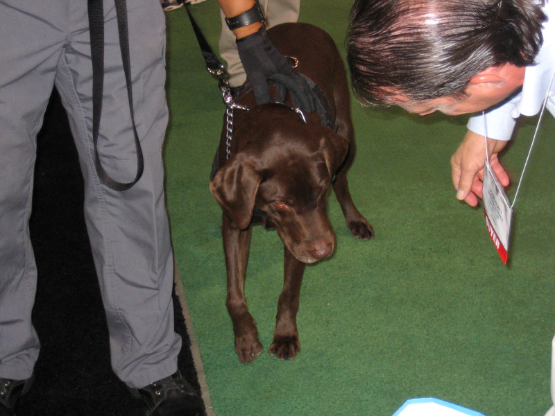 SEMA-2007-Auto-Show-Las-Vegas-394