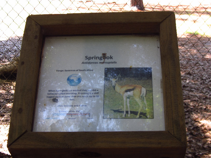 Sante-Fe-Community-College-Teaching-Zoo-Gainesville-FL-031