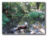Sante-Fe-Community-College-Teaching-Zoo-Gainesville-FL-041