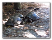 Sante-Fe-Community-College-Teaching-Zoo-Gainesville-FL-044