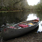 Sante Fe River Canoeing - High Springs, FL