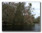 Sante-Fe-River-High-Springs-Florida-035