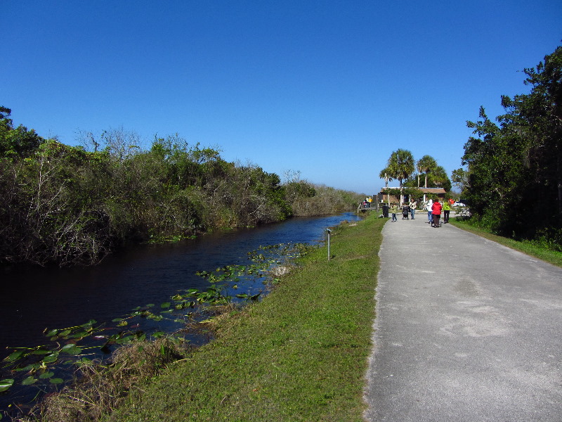 Shark-Valley-Visitor-Center-Everglades-National-Park-Miami-FL-012
