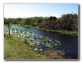 Shark-Valley-Visitor-Center-Everglades-National-Park-Miami-FL-013