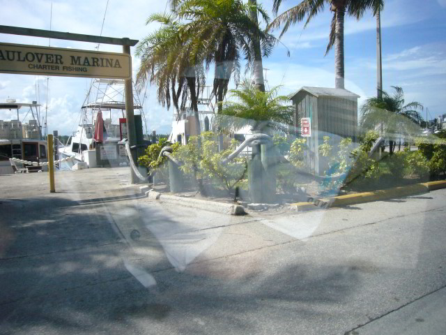 South-Beach-Pictures-Miami-Beach-FL-009
