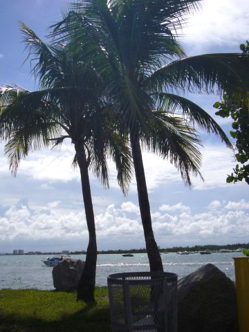 South-Beach-Pictures-Miami-Beach-FL-013
