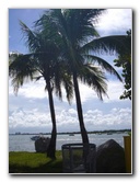 South-Beach-Pictures-Miami-Beach-FL-013