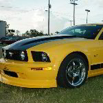 2005 Steeda Ford Mustang Pictures - Moroso Motorsports Speedway - Florida