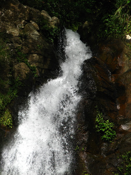 Tavoro-River-Waterfalls-Bouma-Park-Taveuni-Fiji-032