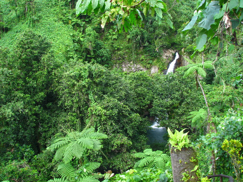 Tavoro-River-Waterfalls-Bouma-Park-Taveuni-Fiji-042