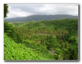 Tavoro-River-Waterfalls-Bouma-Park-Taveuni-Fiji-001