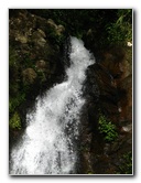Tavoro-River-Waterfalls-Bouma-Park-Taveuni-Fiji-032