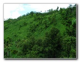Tavoro-River-Waterfalls-Bouma-Park-Taveuni-Fiji-043