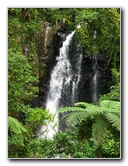 Tavoro-River-Waterfalls-Bouma-Park-Taveuni-Fiji-074