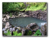 Tavoro-River-Waterfalls-Bouma-Park-Taveuni-Fiji-092