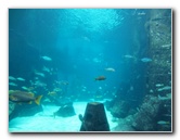 The-Dig-Atlantis-Resort-Paradise-Island-Bahamas-005