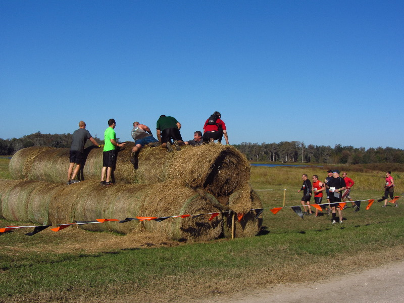 Tough-Mudder-Obstacle-Course-2011-Tampa-FL-061