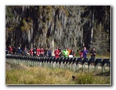 Tough-Mudder-Obstacle-Course-2011-Tampa-FL-058