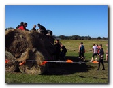 Tough-Mudder-Obstacle-Course-2011-Tampa-FL-062