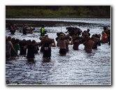 Tough-Mudder-Obstacle-Course-2011-Tampa-FL-143