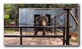 Two-Tails-Ranch-Exotic-Animal-Sanctuary-Williston-FL-003