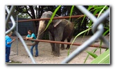 Two-Tails-Ranch-Exotic-Animal-Sanctuary-Williston-FL-017