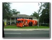 University-of-Florida-Campus-Tour-Gainesville-FL-017