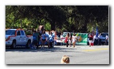 University-of-Florida-2011-Homecoming-Parade-Gainesville-FL-043
