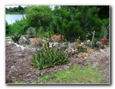 USF-Botanical-Gardens-Tampa-FL-031