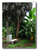 USF-Botanical-Gardens-Tampa-FL-054