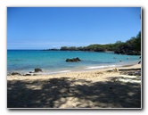 Waialea-Bay-Beach-69-Snorkeling-Kamuela-Big-Island-Hawaii-007