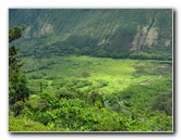 Waipio-Valley-Lookout-Hamakua-Coast-Big-Island-Hawaii-015