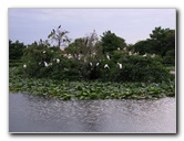 Wakodahatchee-Wetlands-Delray-Beach-FL-123