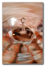 Water-Drops-Pictures-Nikon-D100-13